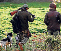 La temporada de caza del tordo arrancará el 12 de octubre en Mallorca